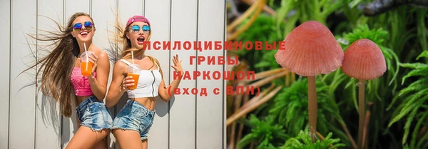 таблы Верея