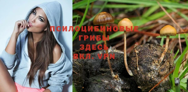 таблы Верея