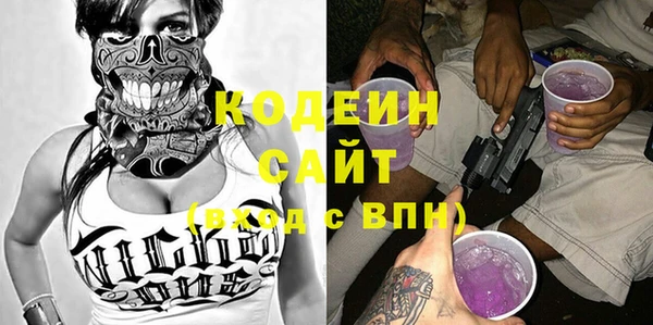сатива Бородино