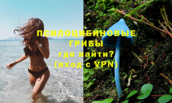 бошки Бугульма