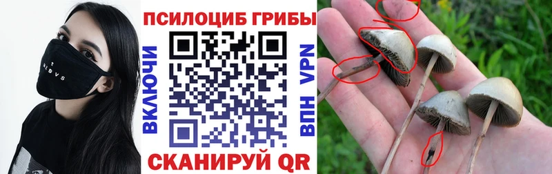 гидра сайт  где купить наркоту  Гай  Галлюциногенные грибы прущие грибы 